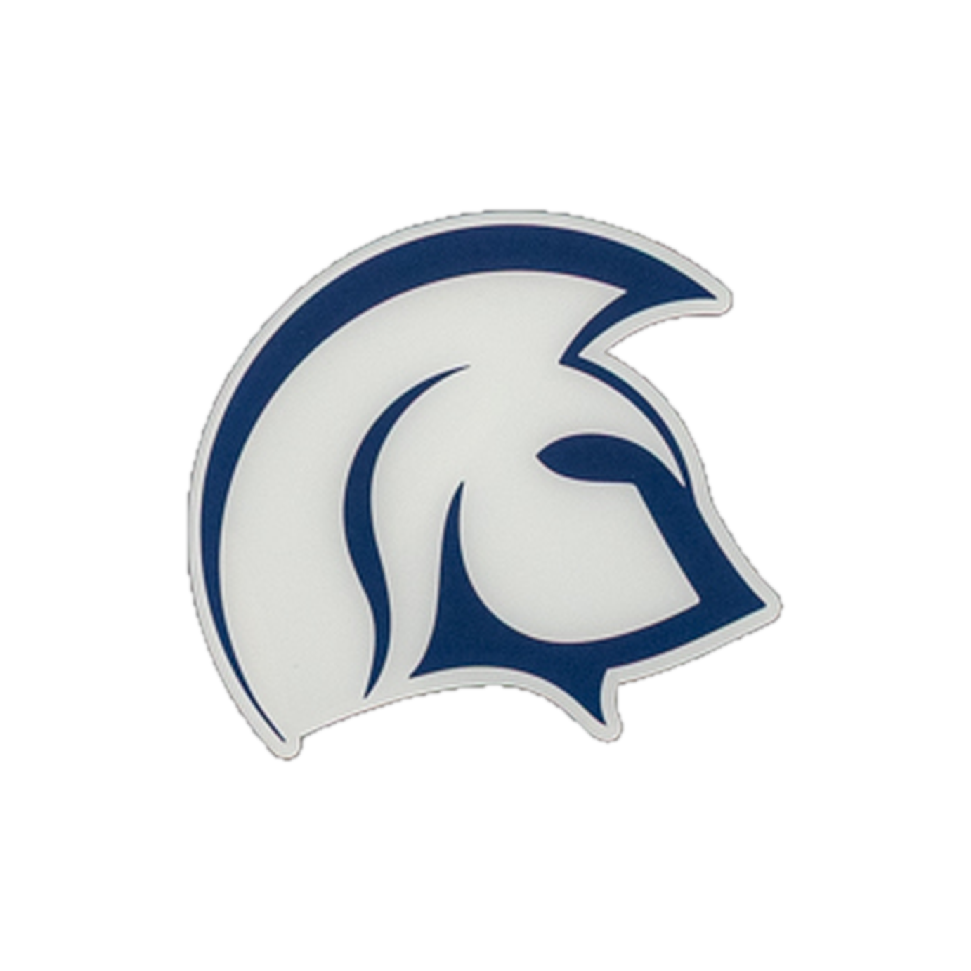 Custom team logo example